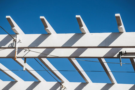 Close-up of white structures in Nice