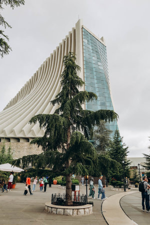 Harissa, Lebanon â 24.04.2023: Cedar tree on a pilgrimage site in the village of Harissa in Lebanon.のeditorial素材