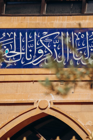 Olive tree and mosque in the backgroundの写真素材