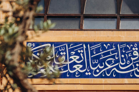 Olive tree and mosque in the backgroundの写真素材