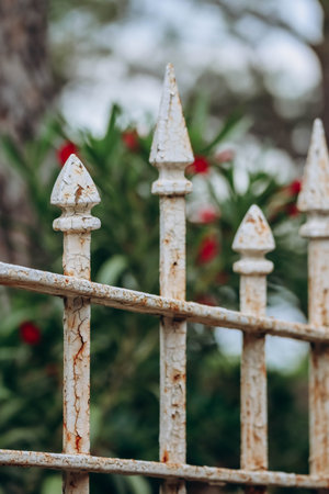 The old fence of one of the villas on the peninsula of Saint Jean Cap Ferrat on the French Rivieraの写真素材