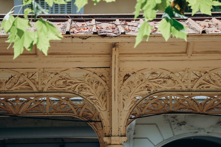 Close-up of the promenades (canopies for walking) at the Parc des Sources of Vichy