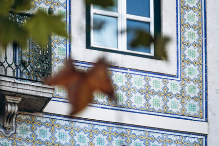 A historic facade in downtown Lisbon covered with iconic azulejo tilesの写真素材