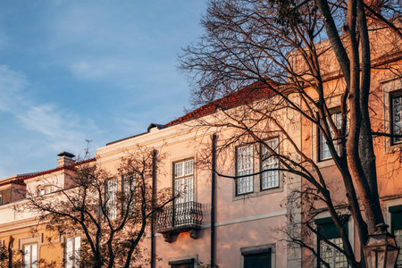 A close-up view of a pastel-colored building with windows and a decorative balcony, framed by leafless trees in the soft afternoon sunlightの写真素材