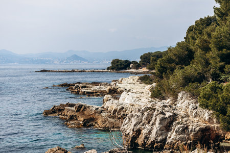 Scenic coastal landscapes of Sainte-Marguerite Island with pine trees, rocky shore, and turquoise sea.の写真素材