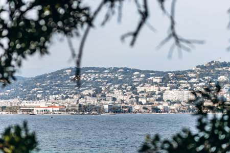 Panoramic view of Cannes city and mountains from Sainte-Marguerite Island.の写真素材