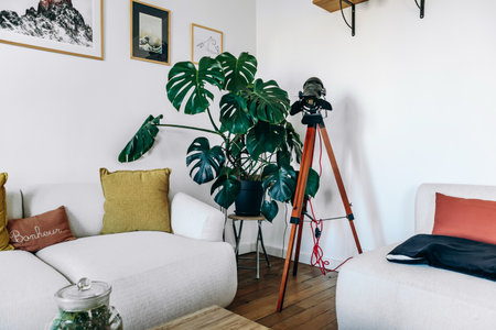 Paris, France - September 10, 2025: Modern Paris apartment corner with green monstera plant, spotlight, and white sofas.のeditorial素材