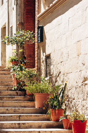 Stone staircase along a historic limestone wall with potted green plants in sunlight, illustrating local Mediterranean character in the old city of Senglea.の写真素材
