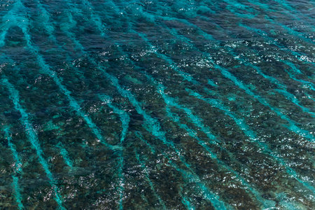 Close-up view of shimmering turquoise Mediterranean sea water with natural dark reef patterns and sunlight reflectionsの写真素材