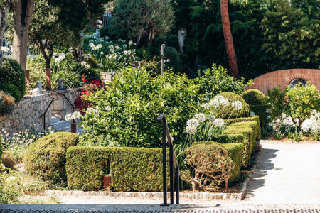 Garden of Villa Paloma with manicured hedges and Mediterranean plantsの写真素材