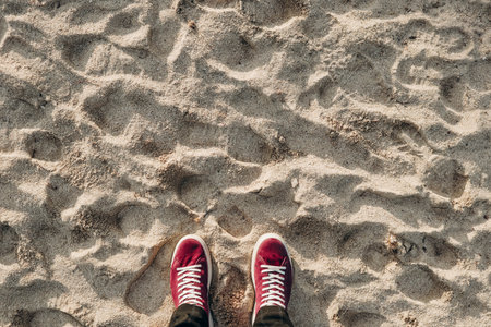 Men's feet in sneakers on a sandy beach at sunsetの写真素材