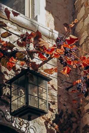 Lantern in the Provencal medieval village of Saint Paul de Vence on a sunny winter dayの写真素材