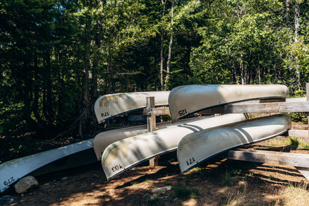 Canoes stored near a lake in La Mauricie National Park, Quebecの写真素材