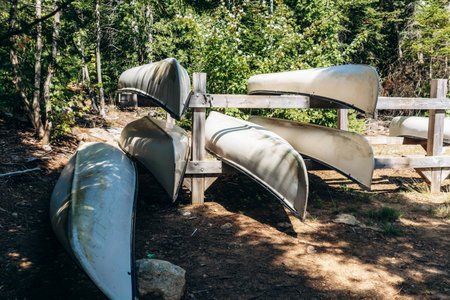 Canoes stored near a lake in La Mauricie National Park, Quebecの写真素材
