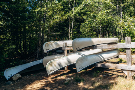 Canoes stored near a lake in La Mauricie National Park, Quebecの写真素材
