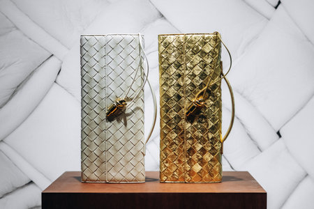 Nice, France - November 14, 2025: Bottega Veneta woven leather clutches displayed in a boutique window in Niceのeditorial素材