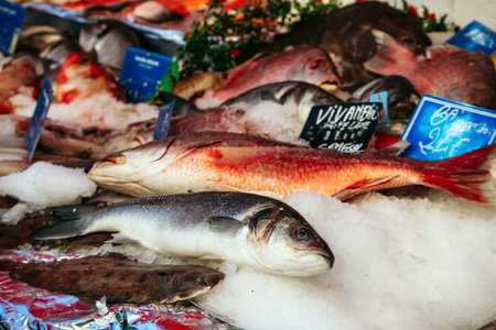 Nice, France - March 23, 2025: Fresh whole fish displayed on ice at a seafood stall in the Liberation street marketのeditorial素材