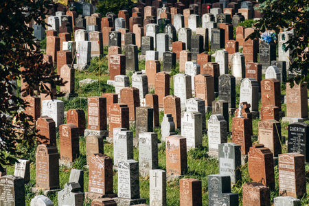 Montreal, Canada - August 15, 2025: View of Baron de Hirsch Cemetery with rows of historic...