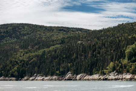 Forested hillside and rocky shoreline along the Saint Lawrence River in rural Quebec coastal landscape, Port-au-Persil, Canadaの写真素材