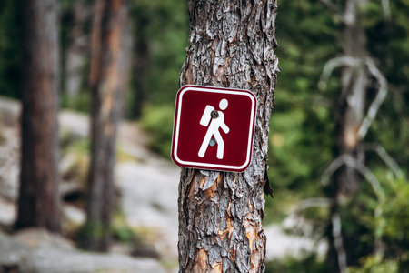 Red hiking trail sign with white backpacker symbol mounted on a tree trunk along Eucher Trail near La Baie, surrounded by dense boreal forest vegetation in summerの写真素材
