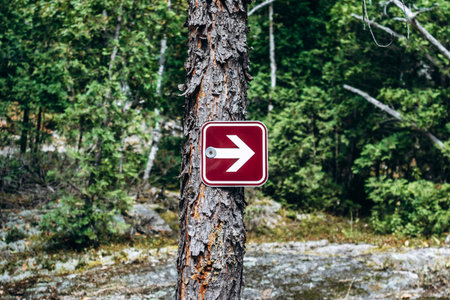 Red directional arrow hiking trail marker mounted on a tree along Eucher Trail, surrounded by boreal forest vegetation in Saguenay regionの写真素材