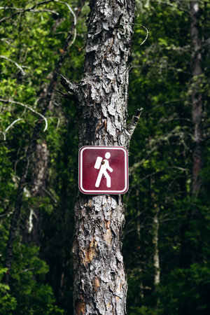 Red hiking trail sign with white backpacker symbol mounted on a tree trunk along Eucher Trail near La Baie, surrounded by dense boreal forest vegetation in summerの写真素材