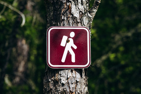 Red hiking trail sign with white backpacker symbol mounted on a tree trunk along Eucher Trail near La Baie, surrounded by dense boreal forest vegetation in summerの写真素材