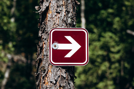 Red directional arrow hiking trail marker mounted on a tree along Eucher Trail, surrounded by boreal forest vegetation in Saguenay regionの写真素材