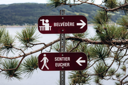 Red directional trail signs indicating Belvedere and Sentier Eucher on the Eucher Trail near La Baie, Quebec, mounted on a metal post among pine branches with river and forested hills in the backgroundの写真素材
