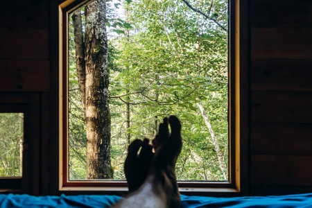 Male bare feet resting on a bed inside a wooden forest cabin, with a view of green trees through...