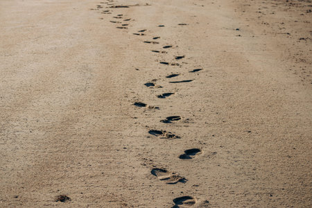 Wide sandy and rocky beaches at low tide along the St Lawrence River, with forested hills in the background and long human footprints leading across the empty shoreline in warm evening lightの写真素材