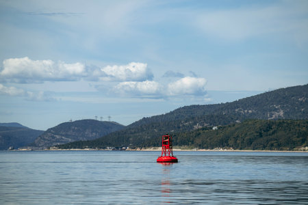 Red navigation buoy floating on the calm waters with forested hills and coastal cliffs in the background under a clear blue skyの写真素材