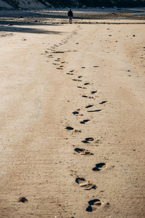 Wide sandy and rocky beaches at low tide along the St Lawrence River, with forested hills in the background and long human footprints leading across the empty shoreline in warm evening lightの写真素材