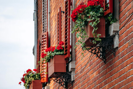 Red geranium flower boxes on brick facade with traditional shutters in Old Quebec
