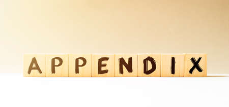 Word APPENDIX made with wood building blocksの写真素材
