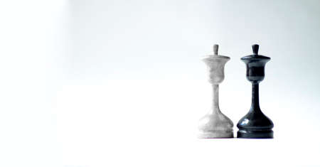 Black and white king. Chess concept, Business conceptの写真素材