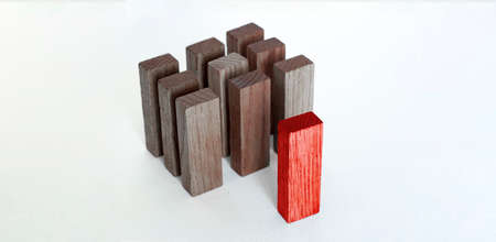 business leadership ideas concept with red wood block stand out from other brown block