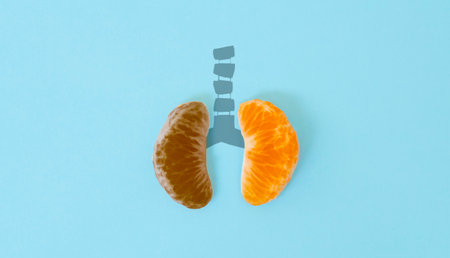 A health concept of unhealthy human lungs of a smoker with lung cancer in dark shadows, made of mandarin segments.の写真素材