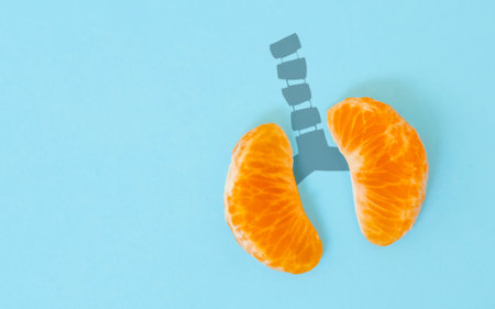 A health concept of unhealthy human lungs of a smoker with lung cancer in dark shadows, made of mandarin segments.の写真素材