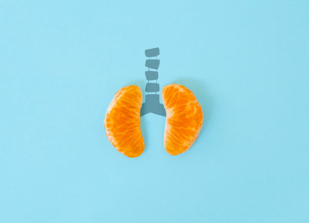 A health concept of unhealthy human lungs of a smoker with lung cancer in dark shadows, made of mandarin segments.の写真素材