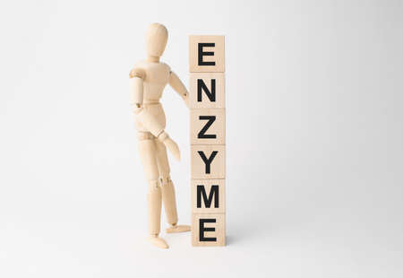 Wooden mannequin near tower of cubes with word enzyme on table against light background