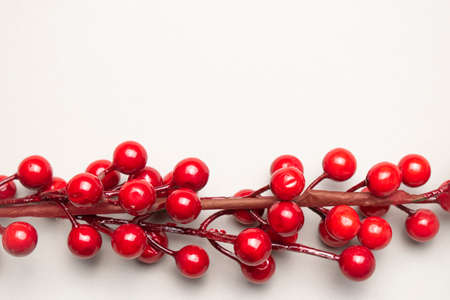 rowan berries with copy space on the white backgorund. Christmas conceptの写真素材