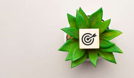 goal symbol word made with wooden block on the green flowerの写真素材