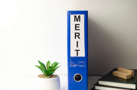 Notepad with text merit on the business charts and pen,businessの写真素材