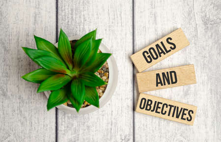 Wooden blocks with words Goals and Objectives and green plant on wooden backgroundの写真素材