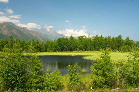Baikal landscape with green spring forest, Russia. Siberiaの写真素材