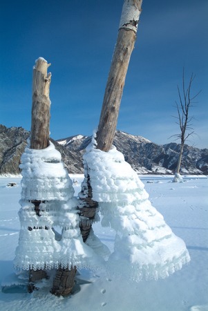 Strange form Icicles on tree on a background of mountains in the lakeの写真素材