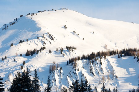 Beautiful winter landscape with snow covered trees, Altayの写真素材