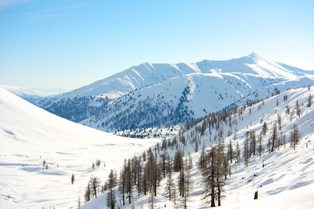 Beautiful winter landscape with snow covered trees, Altayの写真素材