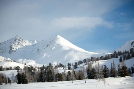 Beautiful winter landscape with snow covered trees, Altayの写真素材